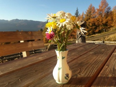 Alpine hut Huberalm - Outdoor photo 5