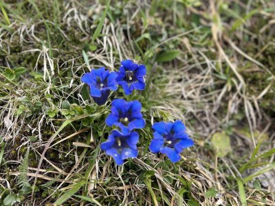 Alpine hut Huberalm - Outdoor photo 6