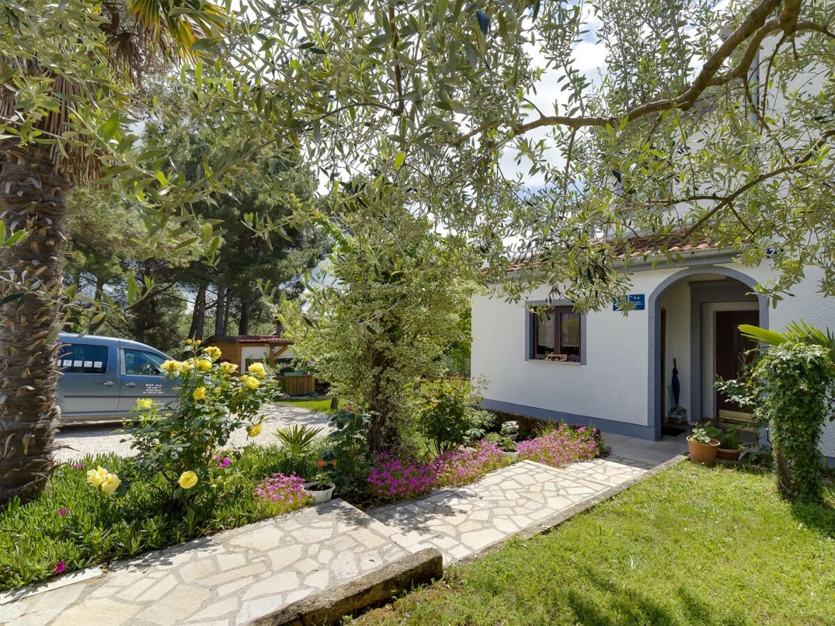 Apartment Apartments Dado - Ground Floor Apartment  No.2