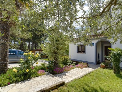 Apartment Apartments Dado - Ground Floor Apartment  No.2 in Porec - Apartment