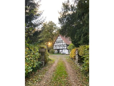 Cottage No title - Outdoor photo 9