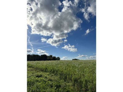 Cottage No title - Environment photo 34