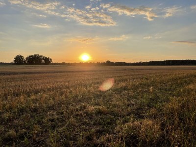 Cottage No title - Environment photo 35