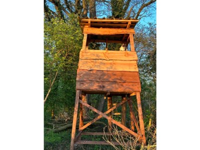 Cottage No title - Environment photo 36