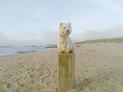 Holiday house Strandperle 208 in Bungalowpark Strandslag - Environment photo 18