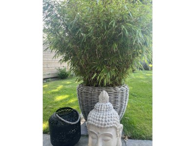 Apartment 4-Betthaus Löftchen - Outdoor photo 35