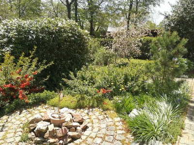 Apartment 6-Bettwohnung Roder am Eifelsteig - Outdoor photo 25