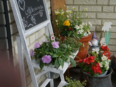 Apartment 2-Bett-Ferienwohnung Dusche/WC, 1 Schlafraum - Outdoor photo 9