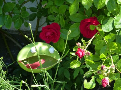 Apartment 4-Bett-Ferienwohnung Dusche/WC bis 6 Personen - Outdoor photo 3