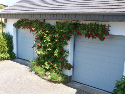 Apartment 4-Bett-Ferienwohnung Dusche/WC bis 6 Personen - Outdoor photo 8