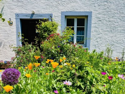 Apartment 6-Bett-Ferienhaus Bauernhaus - Features photo 45