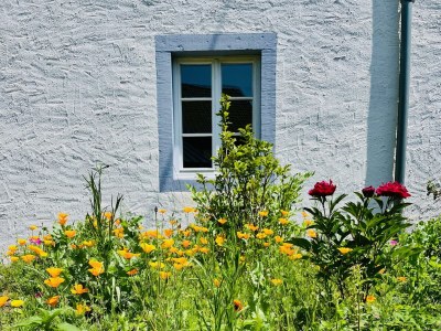 Apartment 6-Bett-Ferienhaus Bauernhaus - Features photo 46