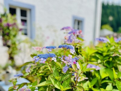 Apartment 6-Bett-Ferienhaus Bauernhaus - Features photo 47
