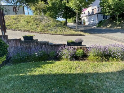 Apartment 2-Bett-Ferienwohnung Opp der Holl - Outdoor photo 20