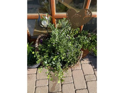 Apartment 2-Bett-Ferienwohnung Opp der Holl - Outdoor photo 25