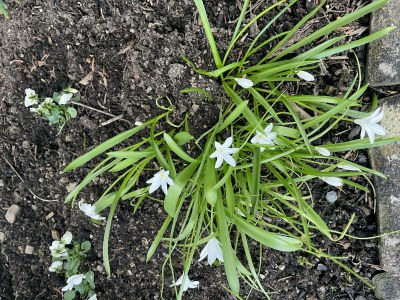 Apartment 2-Bett-Ferienwohnung Opp der Holl - Outdoor photo 33