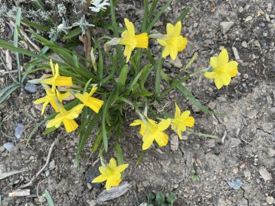 Apartment 2-Bett-Ferienwohnung Opp der Holl - Outdoor photo 35