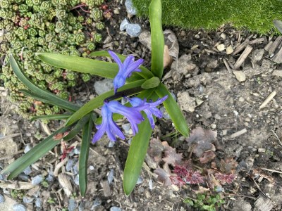 Apartment 2-Bett-Ferienwohnung Opp der Holl - Outdoor photo 37