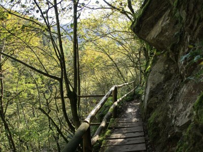 Apartment 2-Bett-Ferienwohnung Opp der Holl - Outdoor photo 40