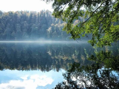 Apartment 2-Bett-Ferienwohnung Opp der Holl - Outdoor photo 47