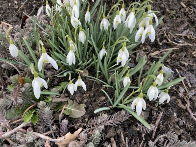 Apartment 2-Bett-Ferienwohnung Opp der Holl - Outdoor photo 64