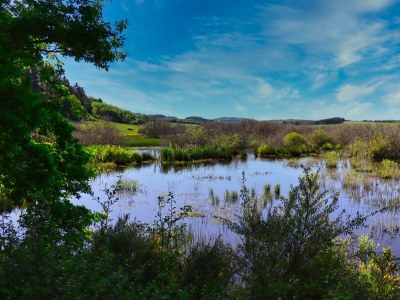 Apartment 4-Bett-Ferienhaus Dusche/WC, 2 Schlafräume - Outdoor photo 18