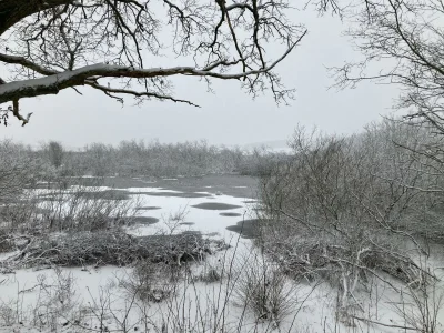 Apartment 4-Bett-Ferienhaus Dusche/WC, 2 Schlafräume - Outdoor photo 23