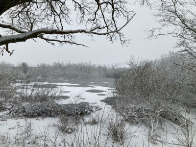 Apartment 4-Bett-Ferienhaus Dusche/WC, 2 Schlafräume - Outdoor photo 24