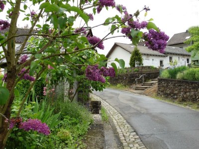 Apartment Waldsicht 4-Bett-Ferien-Appartement - Outdoor photo 2