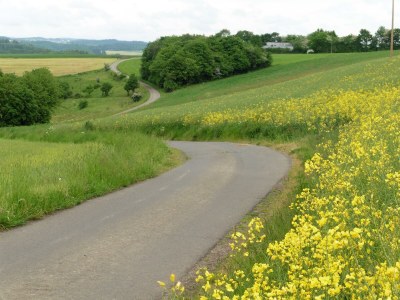 Apartment Waldsicht 4-Bett-Ferien-Appartement - Outdoor photo 7