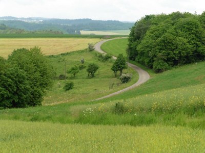 Apartment Waldsicht 4-Bett-Ferien-Appartement - Outdoor photo 8