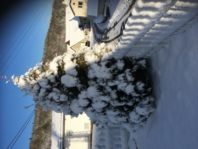 Apartment Waldsicht 4-Bett-Ferien-Appartement - Outdoor photo 13