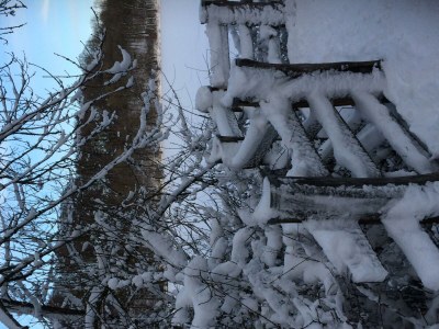 Apartment Waldsicht 4-Bett-Ferien-Appartement - Outdoor photo 16