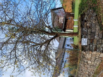 Apartment Waldsicht 4-Bett-Ferien-Appartement - Outdoor photo 42