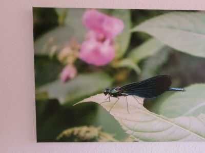Apartment 5-Bett-Ferienwohnung Dusche/WC, 2 Schlafräume - Features photo 17