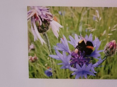 Apartment 5-Bett-Ferienwohnung Dusche/WC, 2 Schlafräume - Features photo 18