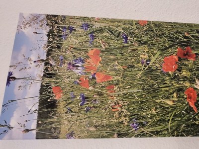 Apartment 5-Bett-Ferienwohnung Dusche/WC, 2 Schlafräume - Features photo 35