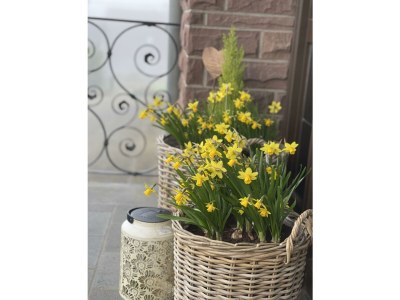 Apartment Das Schmitz Haus, 2x Dusche/WC, 3 Schlafräume - Outdoor photo 5