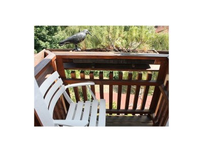 Holiday apartment "Tannenzapfen" im Ferienhaus Sonnhalde - Features photo 15