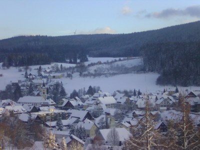 Holiday apartment "Tannenzapfen" im Ferienhaus Sonnhalde - Environment photo 17