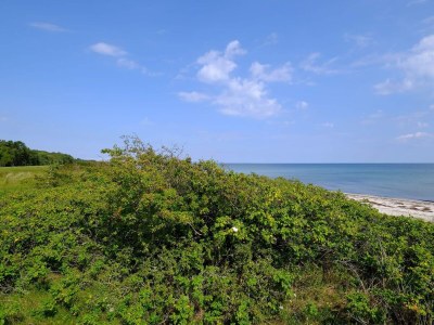 Holiday house Bright Cottage with Spa - By Traum Ferienwohnungen - Outdoor photo 7