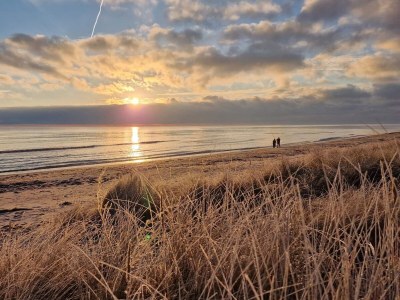 Holiday house Bright Cottage with Spa - By Traum Ferienwohnungen - Outdoor photo 9
