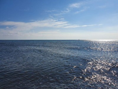 Holiday house Bright Cottage with Spa - By Traum Ferienwohnungen - Outdoor photo 12