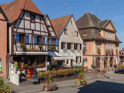 Apartment Wohnung in Elsass nahe Europa-Park in Central Alsace - Apartment