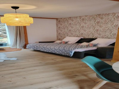 Apartment Wohnung in Elsass nahe Europa-Park - Features photo 11