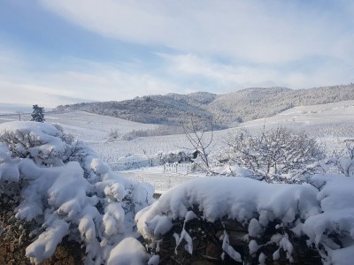 Apartment Wohnung in Elsass nahe Europa-Park - Environment photo 33