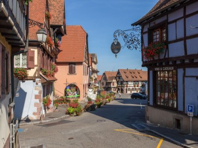 Apartment Wohnung in Elsass nahe Europa-Park - Environment photo 35