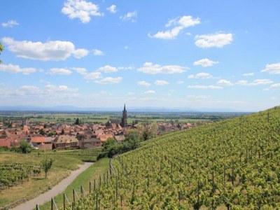 Apartment Wohnung in Elsass nahe Europa-Park - Environment photo 38