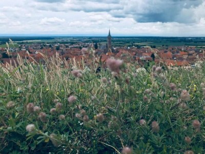 Apartment Wohnung in Elsass nahe Europa-Park - Environment photo 39