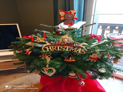 Apartment Wohnung in Elsass nahe Europa-Park - Outdoor photo 40